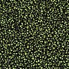 12/0 Glass Seed Beads SEED-S005-10-3