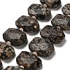 Natural Snowflake Obsidian Beads Strands G-H078-B22-01-1