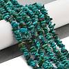 Natural HuBei Turquoise Beads Strands G-B089-A01-02-2