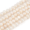 Natural Cultured Freshwater Pearl Beads Strands PEAR-I007-07Y-09A-2