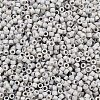 MIYUKI Delica Beads LS-X-SEED-J020-DB2320-2