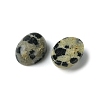 Natural Dalmatian Jasper Cabochons G-A094-01B-51-2