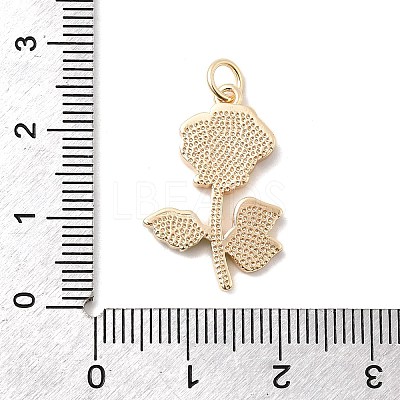 Brass Enamel Pendants KK-A277-26G-1