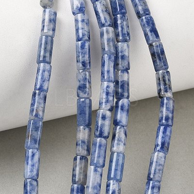 Natural Blue Spot Jasper Beads Strands GG-B091-A25-01-1
