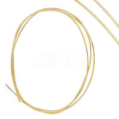 50CM Sterling Silver Wire STER-PH0001-19A-1