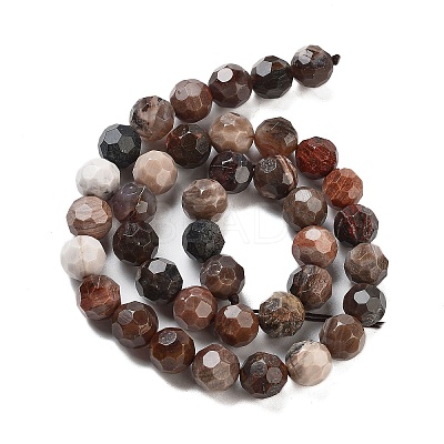 Natural Petrified Wood Beads Strands G-C150-B01-02-1
