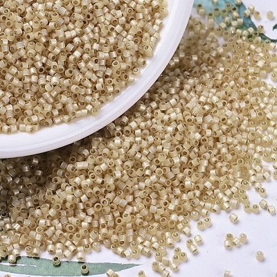 MIYUKI Delica Beads X-SEED-J020-DB0621-1