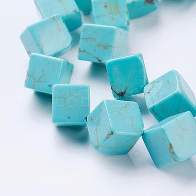 Natural Magnesite Beads Strands TURQ-K003-20B-1