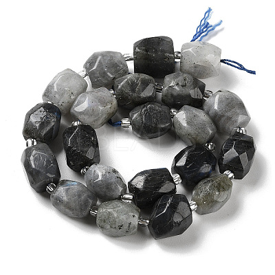 Natural Labradorite Beads Strands G-C105-A02-01-1