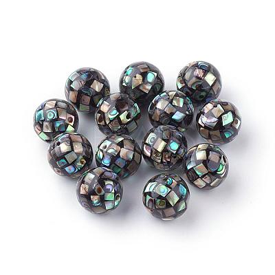 Natural Paua Shell Beads SSHEL-Q298-16mm-09-1
