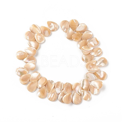 Natural Trochid Shell/Trochus Shell Beads SSHEL-T012-17-1