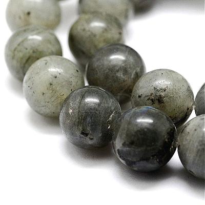 Natural Labradorite Bead Strands G-P256-01-6mm-1