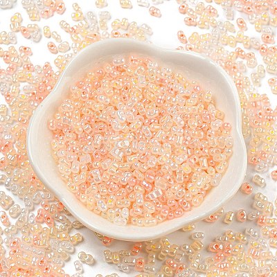 Ceylon Glass Seed Beads SEED-K009-02B-41-1