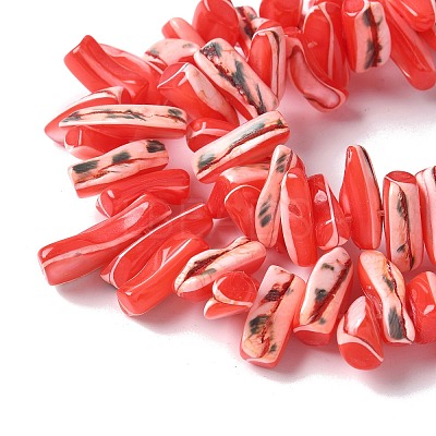 Dyed Natural Trochus Shell Beads Strands SSHEL-C013-09D-1