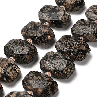 Natural Snowflake Obsidian Beads Strands G-H078-B22-01-1
