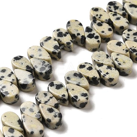 Natural Dalmatian Jasper Beads Strands G-B064-B11-1