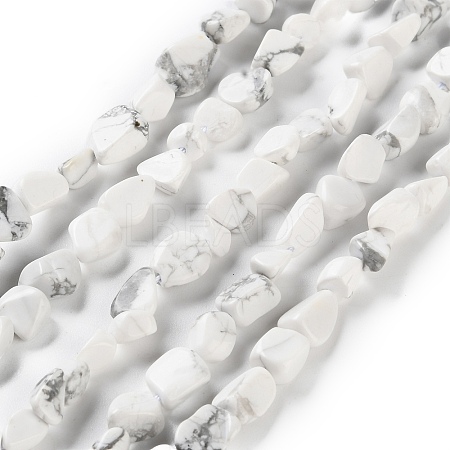 Natural Howlite Beads Strands G-P497-01C-64-1