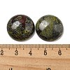 Natural Dragon Blood Cabochons G-C115-02A-11-3