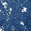Baking Paint Glass Seed Beads SEED-S042-05B-75-3