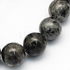 Natural Larvikite Round Beads Strands G-S159-8mm-1