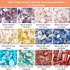 240G 12 Style Natural & Synthetic Mixed Gemstone Beads G-NB0003-23-5