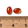 Natural Carnelian Cabochons G-F605E-22A-3