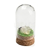 Natural Rose Quartz Nuggets Display Decoration with Glass Dome Cloche Cover DJEW-B009-03C-1