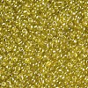 Glass Seed Beads X1-SEED-A006-2mm-110-2