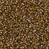 MIYUKI Delica Beads SEED-JP0008-DB1738-2