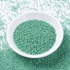 MIYUKI Delica Beads X-SEED-J020-DB2053-2