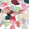 140Pcs 14 Style Transparent Baking Painted Glass Pendants LAMP-TA0001-02-14