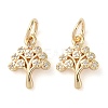 Rack Plating Brass Micro Pave Clear Cubic Zirconia Charms X-KK-D097-05G-1