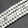 Frosted Howlite Round Bead Strands G-M064-12mm-12-1