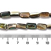 Natural Paua Shell Beads Strands SSHEL-B002-14-4