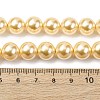Electroplated Shell Pearl Beads Strands BSHE-G041-10mm-01-4