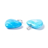 Natural Turquoise Pendants G-G956-B48-FF-3