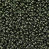 MIYUKI Round Rocailles Beads SEED-G007-RR0459-3