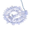 Natural Blue Lace Agate Beads Strands G-Z091-A37-2