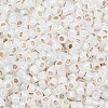TOHO 8/0 Round Beads X-SEED-TR08-2100-2