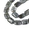 Natural Labradorite Beads Strands X-G-T121-13-5