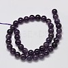 Natural Amethyst Round Bead Strands X-G-M304-18-10mm-2