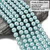 Eco-Friendly Dyed Glass Pearl Round Beads Strands HY-A002-8mm-RB106-2