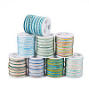 8 Rolls 8 Colors Segment Dyed Nylon Metallic Cord NWIR-TA0001-33-1