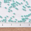 MIYUKI Delica Beads SEED-J020-DB1136-4