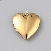 316 Surgical Stainless Steel Locket Pendants STAS-WH0044-75G-1
