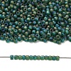 TOHO 11/0 Round Beads X-SEED-TR11-0179F-4