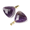 Natural Amethyst Pendants G-L614-D04-G01-2