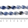 Natural Blue Spot Jasper Beads Strands G-K357-A06-01-5