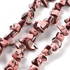 Dyed Natural Trochus Shell Beads Strands BSHE-Z006-01D-1