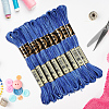 10 Skeins 6-Ply Polyester Embroidery Floss OCOR-CY0004-38H-3